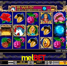 melbet Salvador - Bonus Stats
